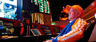 Зеркало Vega Casino
